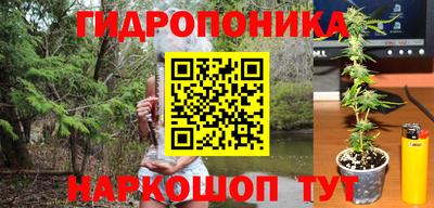 прущие грибы Кузнецк