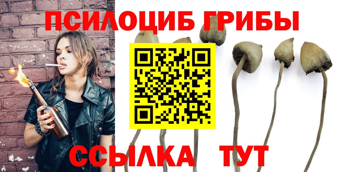 Галлюциногенные грибы Psilocybe Майский
